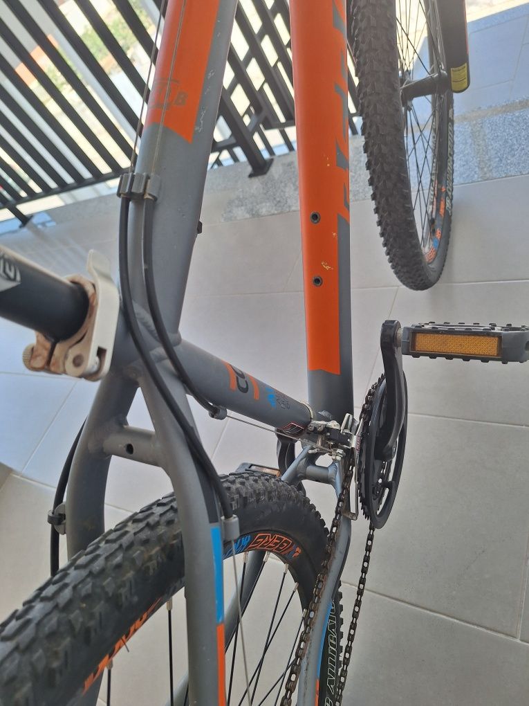 Bicicleta Montanha Berg