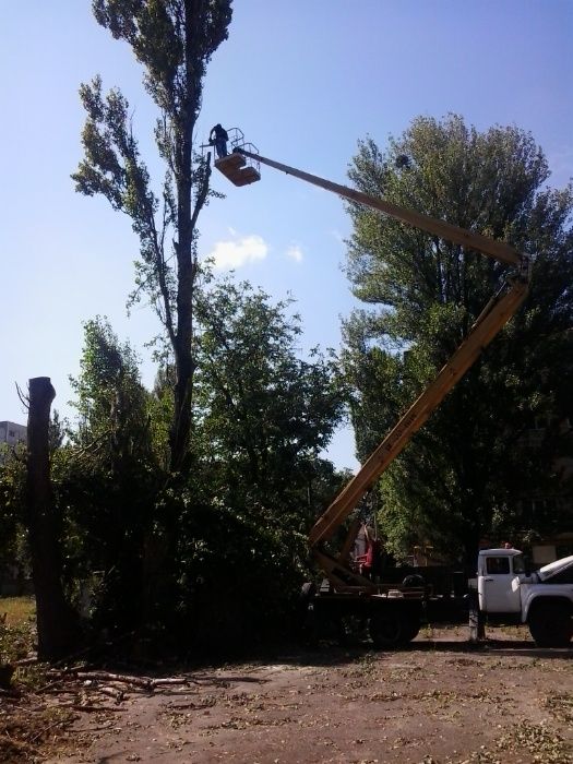 Розчищення вирівнювання ділянки, Зрізання дерев Прибирання Демонтаж