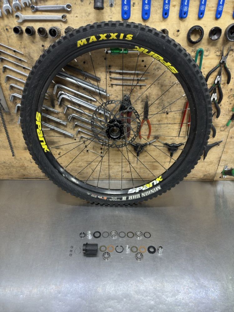 Gt Fury expert carbon 2019