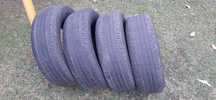 Opony Continental EcoContact 6 215/60 R17  2024r.