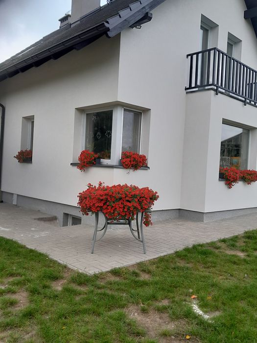 Usługi budowlane, stan surowy, dachy, oceplenie, kostka brukowa