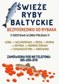 Świeże Ryby BAŁTYCKIE od Rybaka