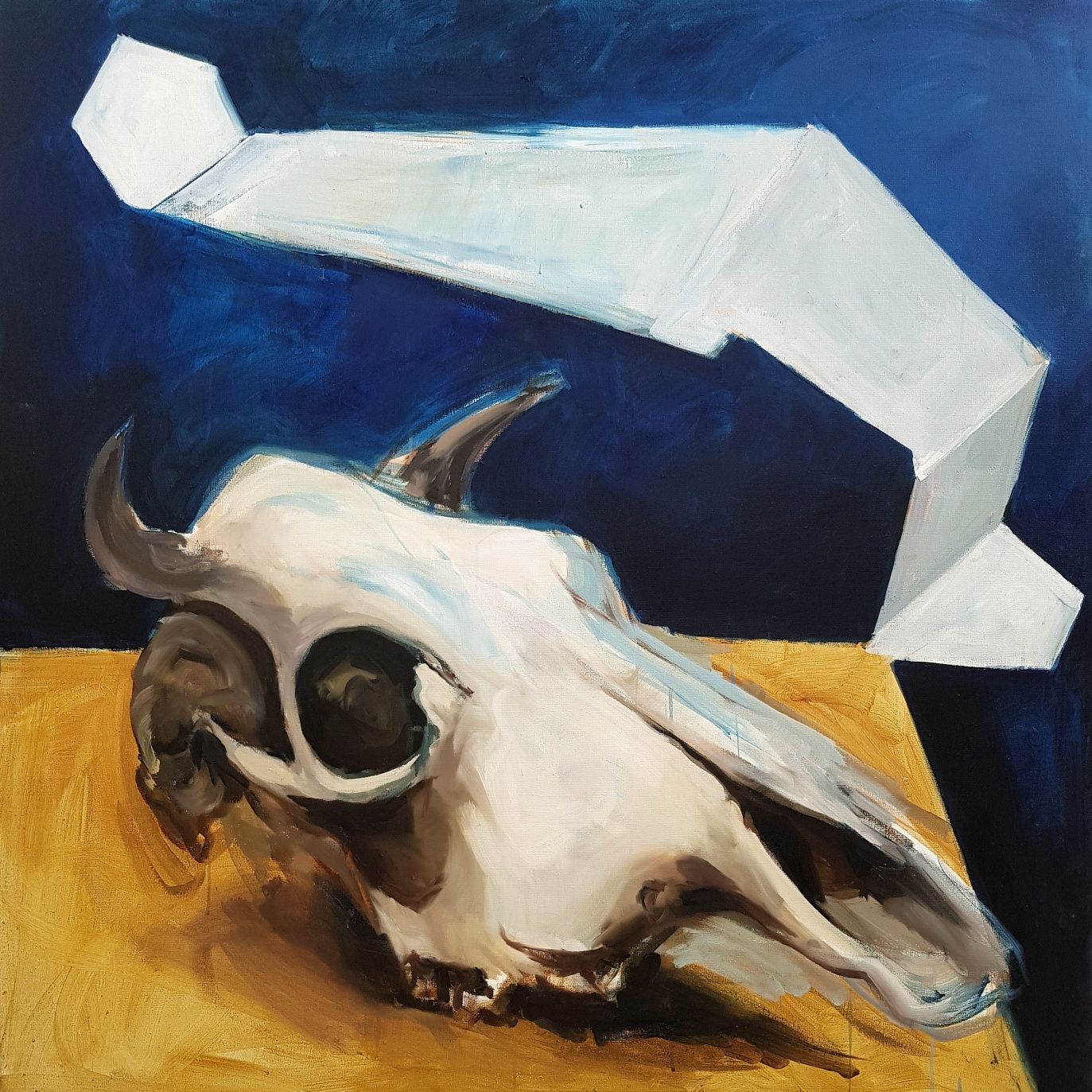 Obraz 120x120 cm czaszka olejny martwa natura