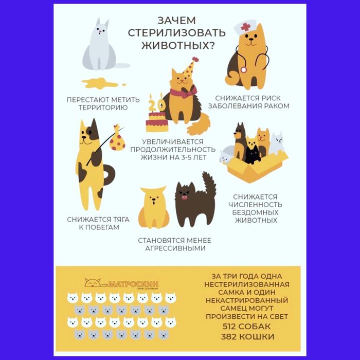 Ветеринарний лікар