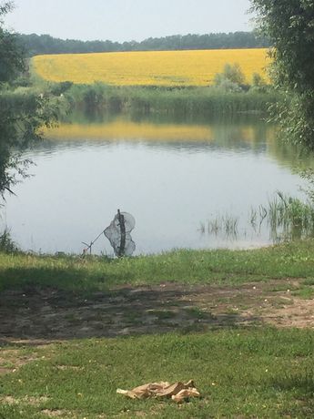 Рыбалка на озере в березах