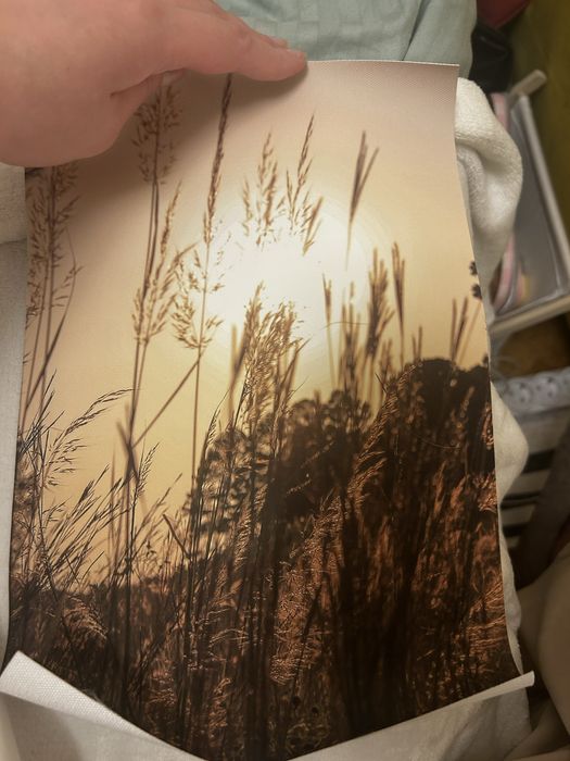 Продам високі ніжно рожеві свічки від H&M Home