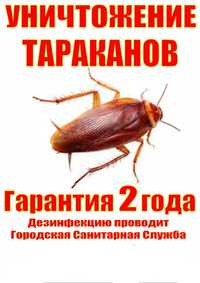 Уничтожение Травля Потравить Тараканов Прусаков Клопов Блох Средство