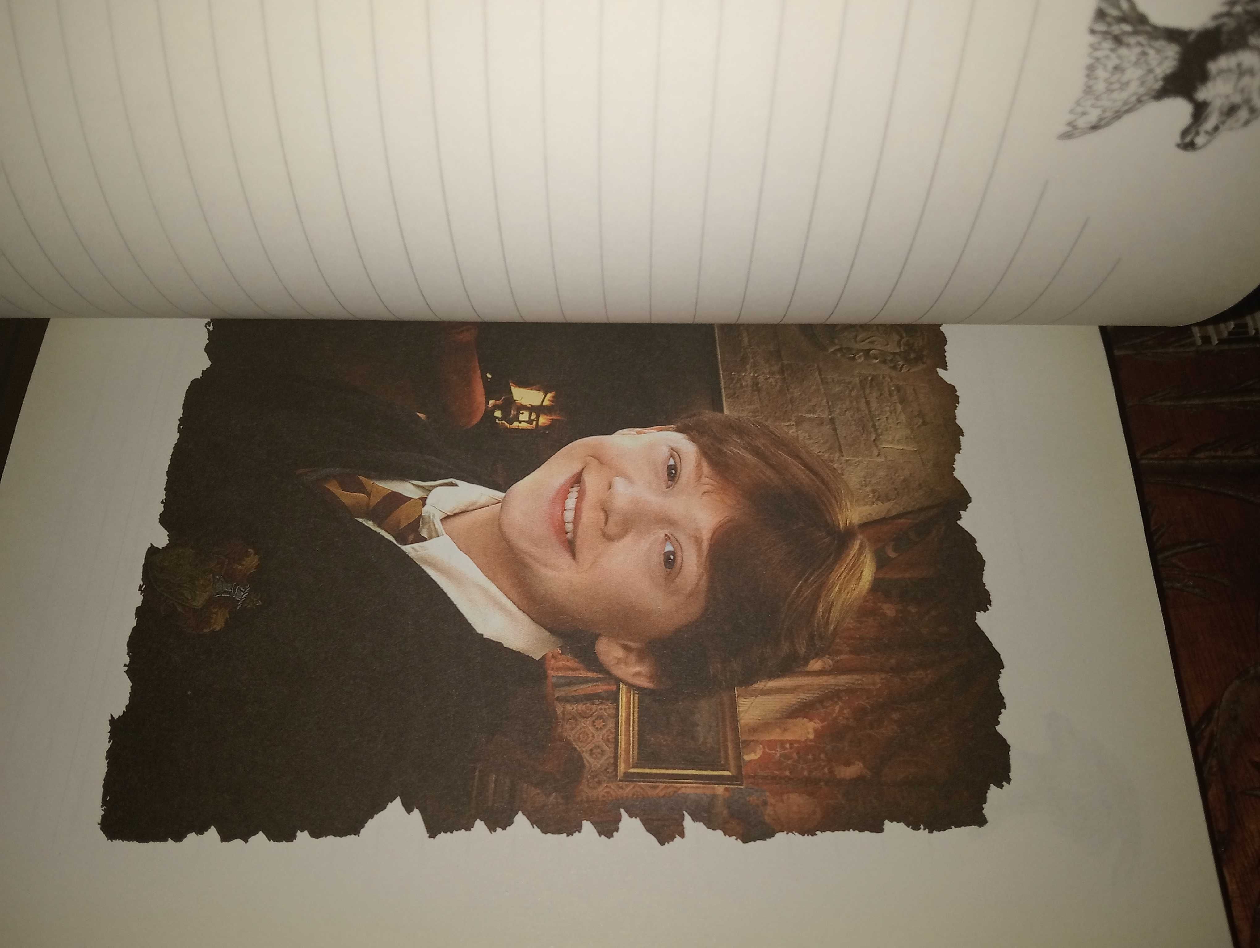Harry Potter diário misterioso