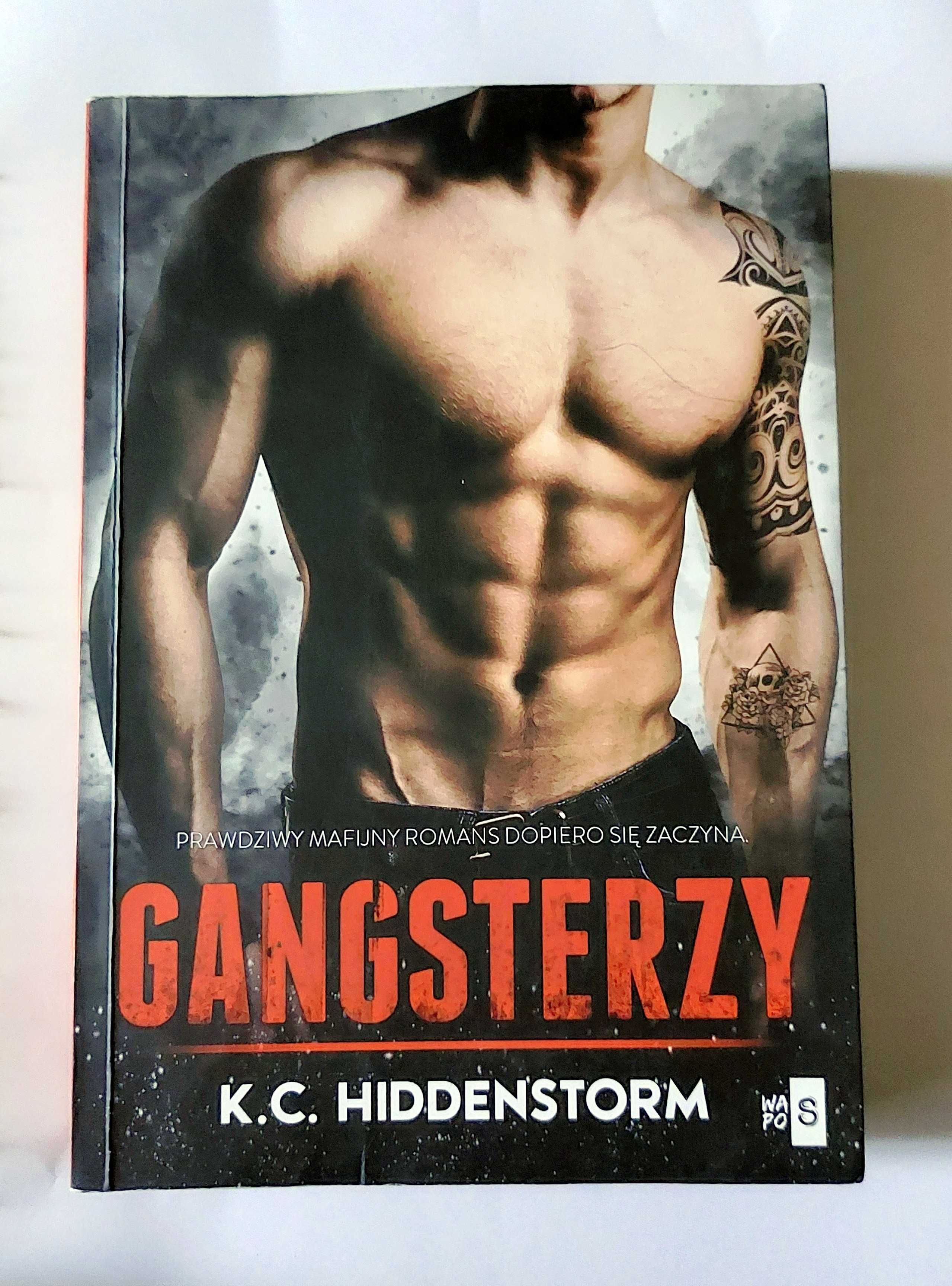 GANGSTERZY - Hiddenstorm | 4 części książek - komplet