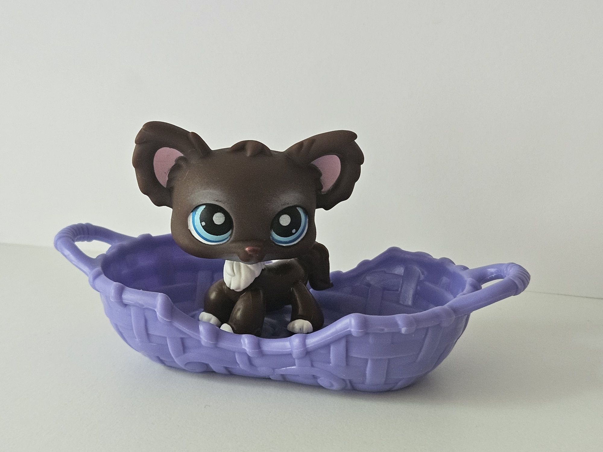 Chihuahua Lps i  sofa Lps