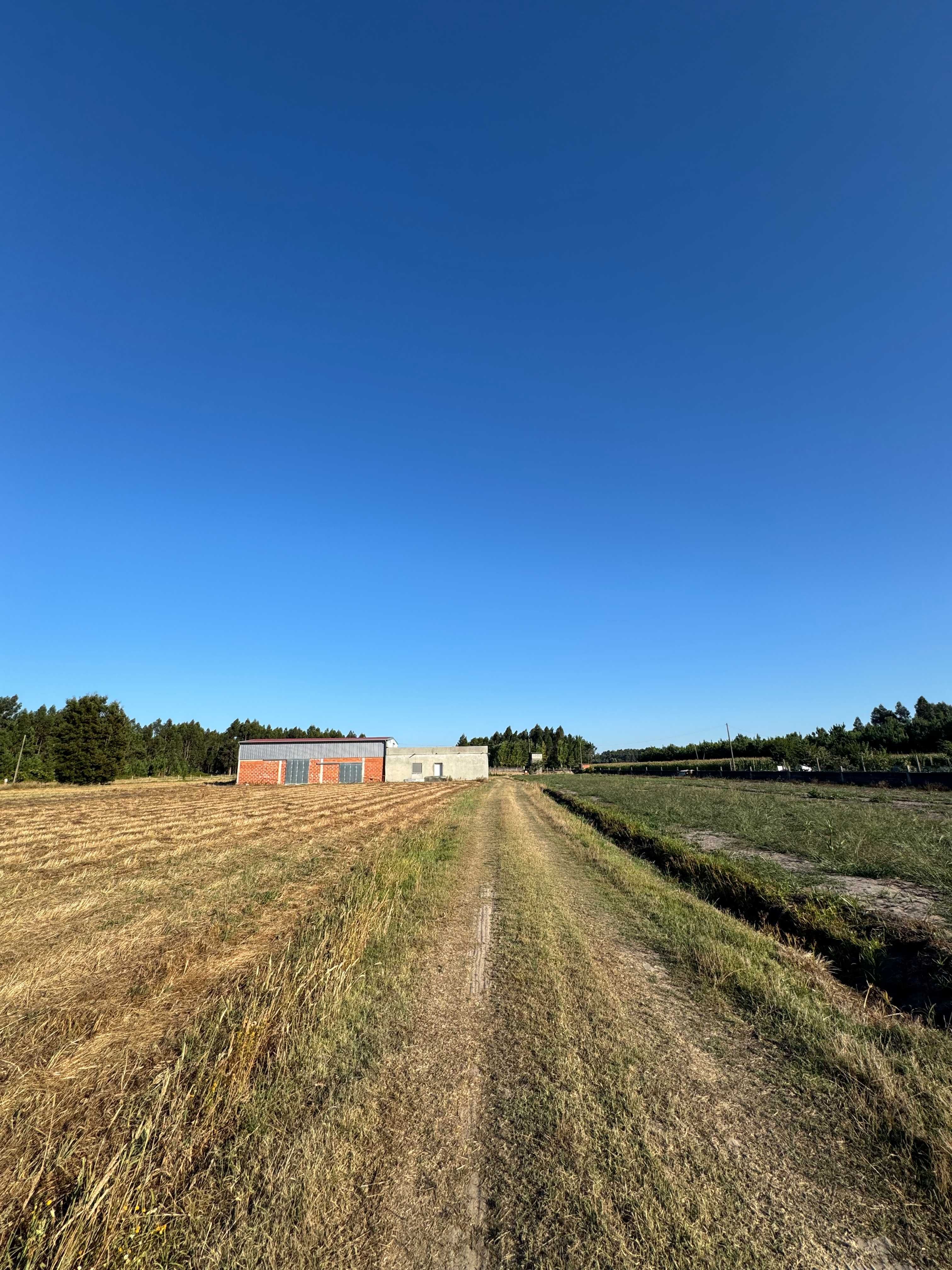 Quinta com 3 Hectares, Armazém e Copa