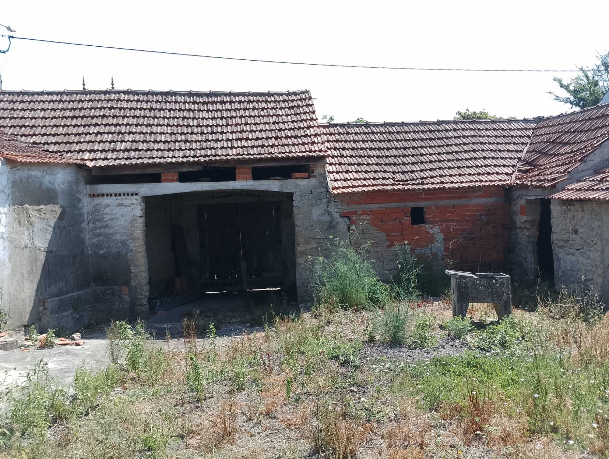 Casa antiga para reabilitar, pátio, lagar, currais, quintal arborizado