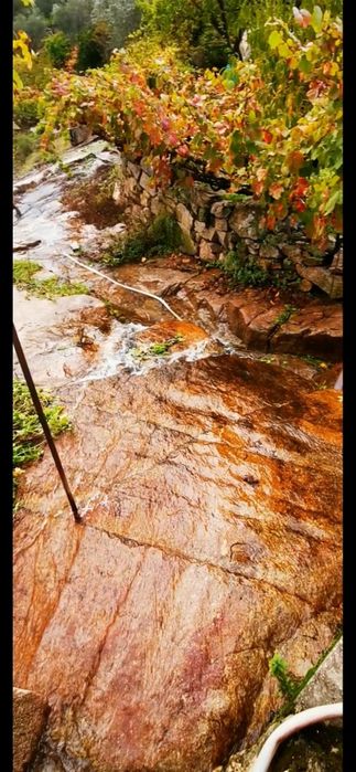 Pequena quinta 15000m2 tabuaço