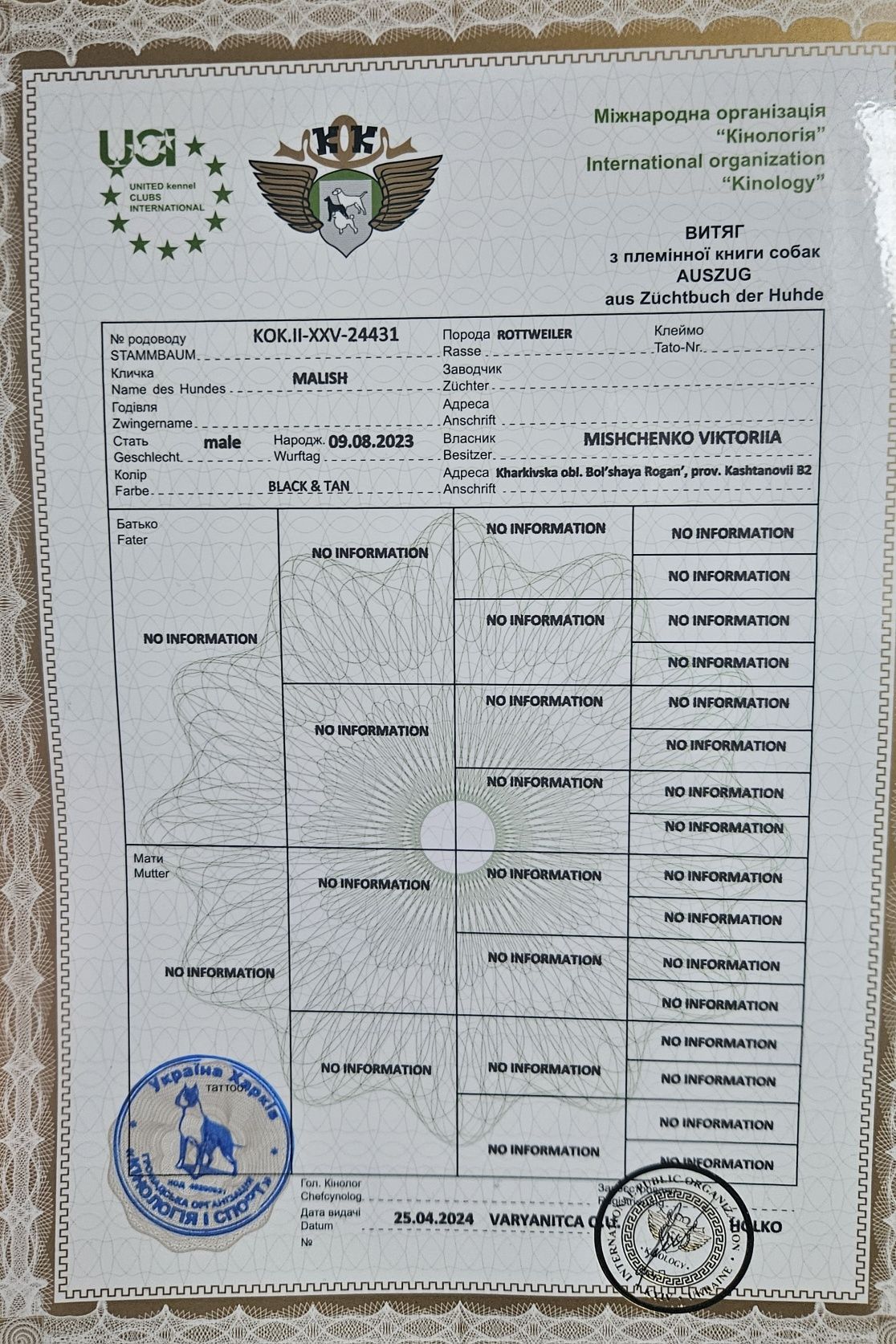 Красавец готов к приёму девочек для продления рода