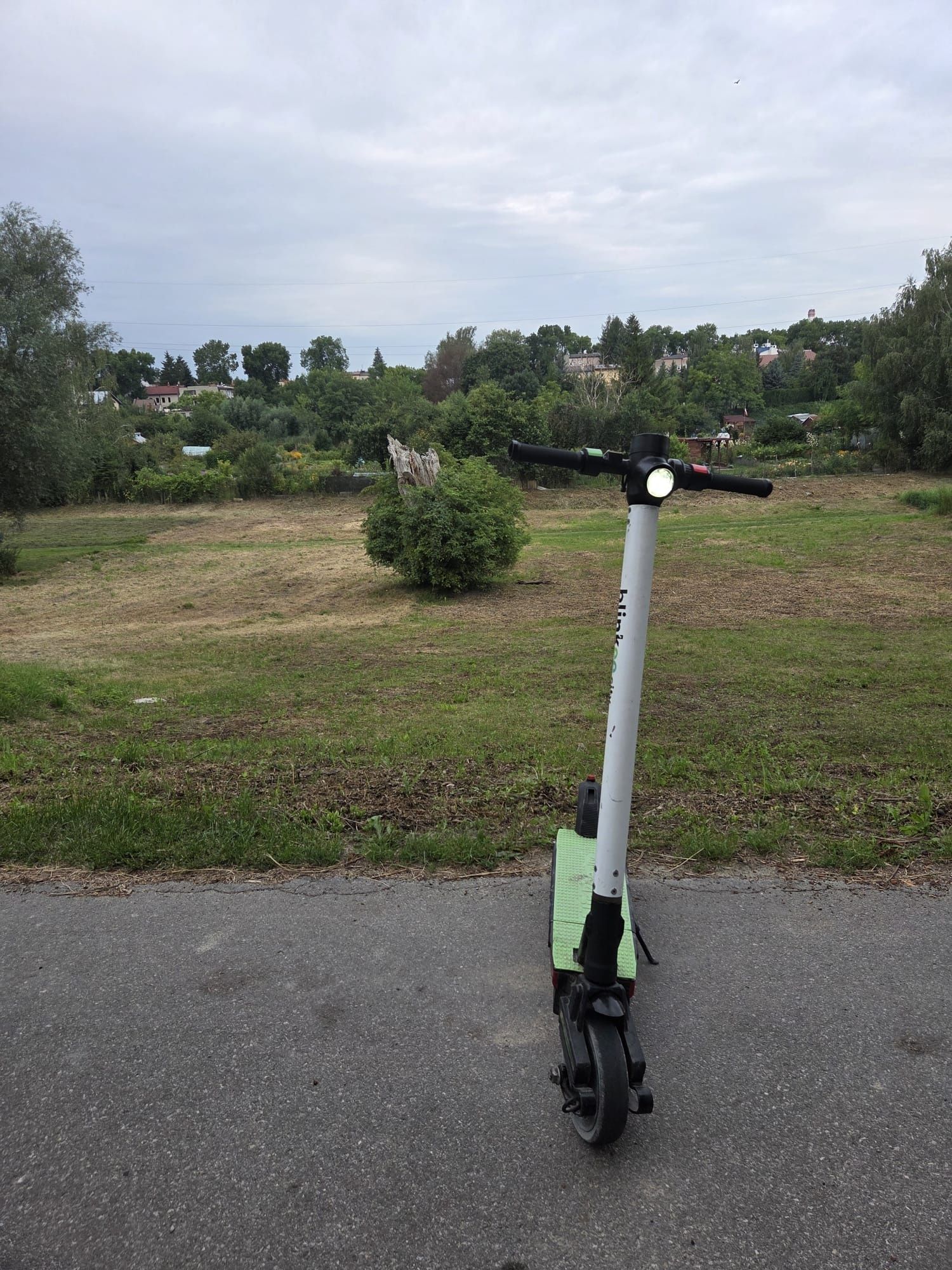 Hulajnoga elektryczna blinkee