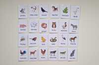 Karty dzwiękonasladowcze karty obrazkowe zwierzęta lamibook