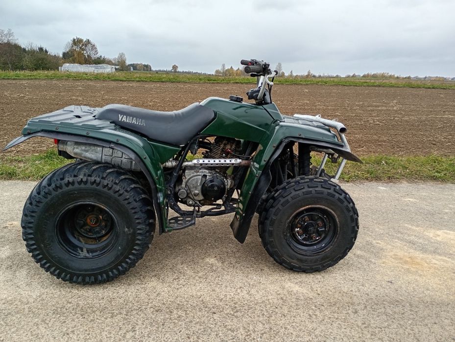 Quad Yamaha twimberwolf 250