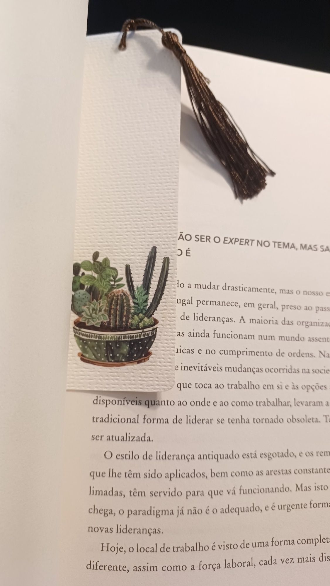 Marcadores de livros