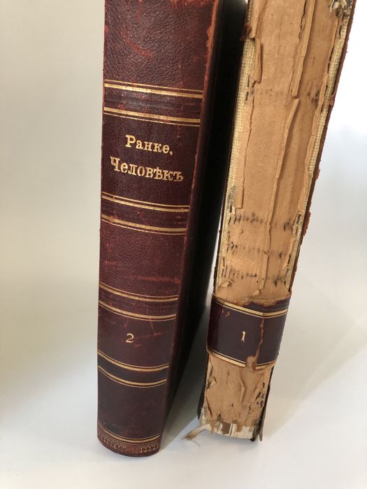 Антикварные книги И.Ранке Человек 1 и 2 том