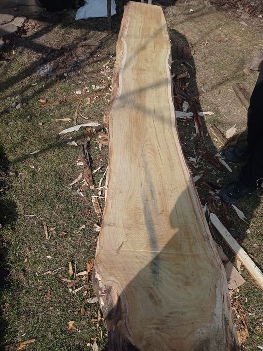 Дошка шовковиця (морва) 50мм