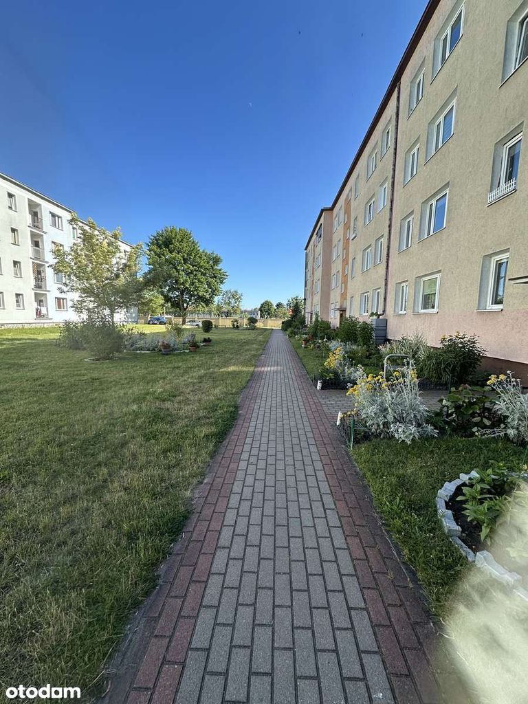 Mieszkanie 63m2 4 pokoje piwnica - bez pośredników