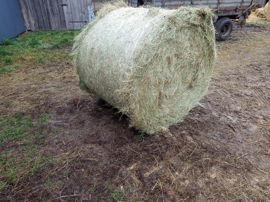 Sprzedam nadmiar siana