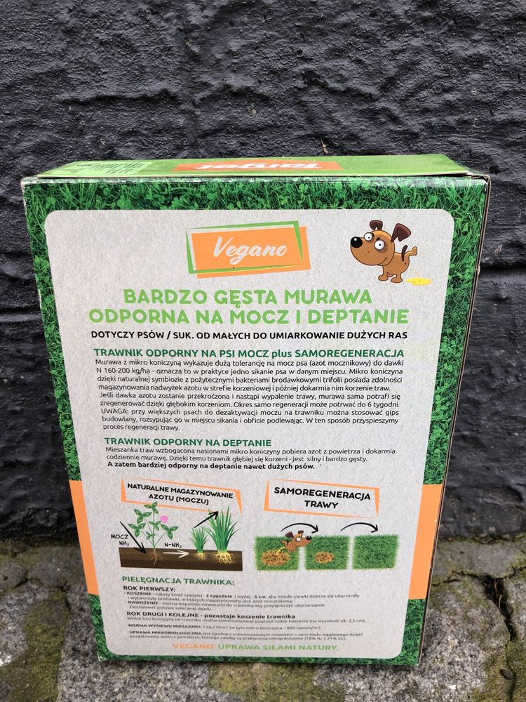 Target trawnik nasiona traw odpornych na deptanie psa