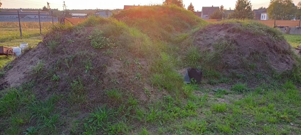 Oddam ziemię, humus