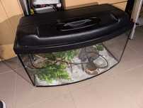 Terrarium 60x30  z wyposażeniem