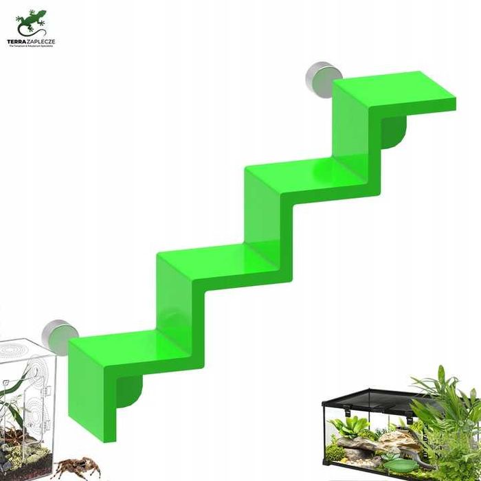 Magnetyczna półka dla skakunów pająki skacząca Schodki  TerraZaplecze