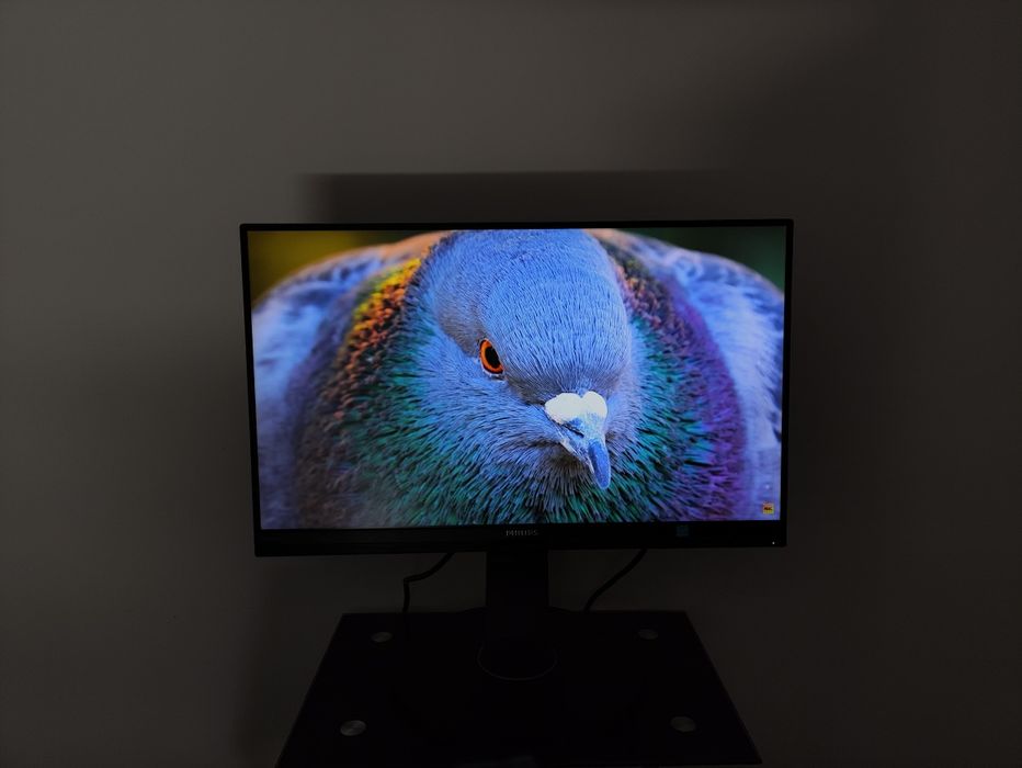 Monitor Philips 24" | Webcam | Microfone | Colunas