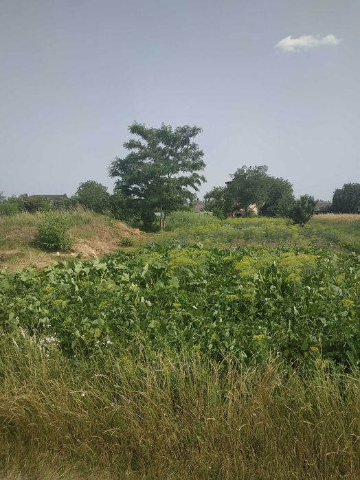 Продам  земельну ділянку біля Рівного