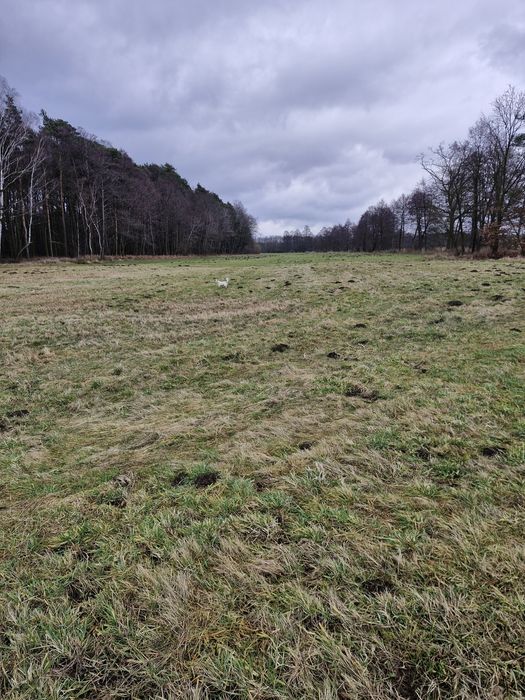 Piękna duża działka budowlana 7500m2