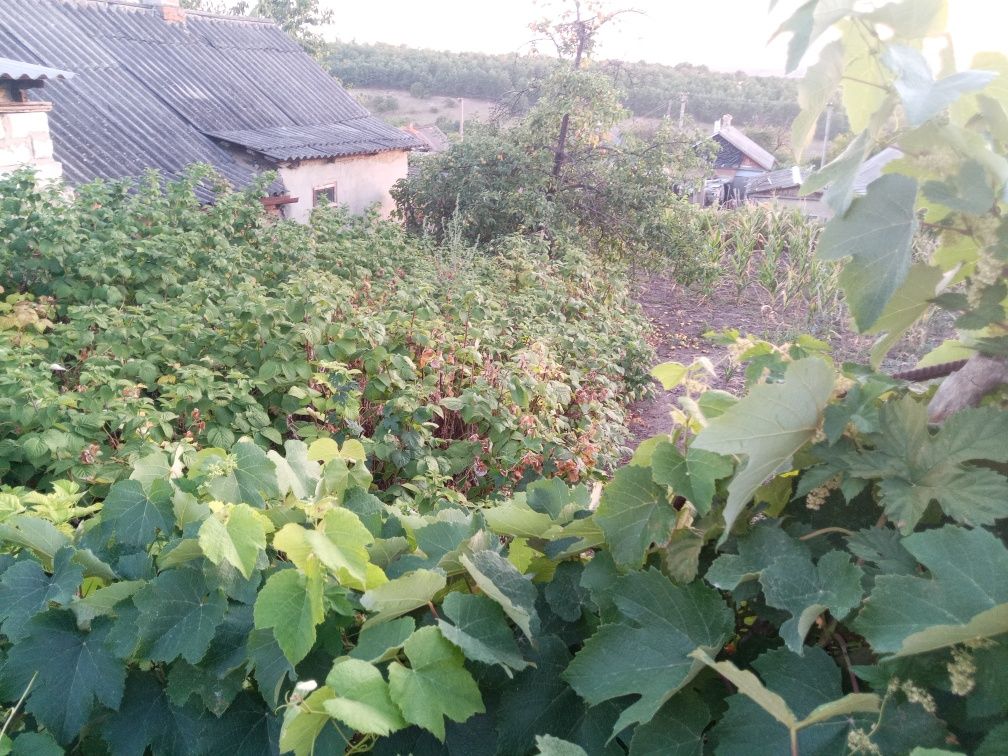 Продам дом Войкова 32