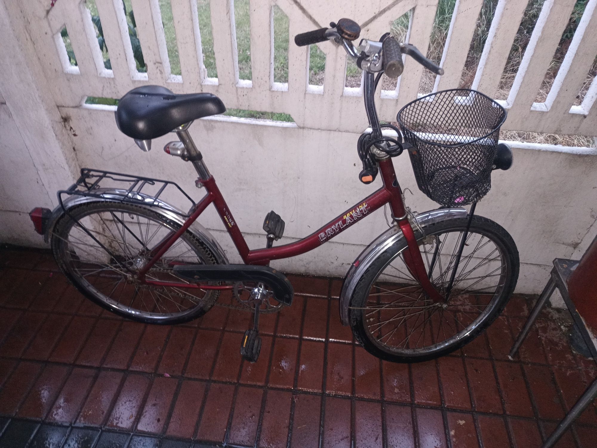 Rower Brylant 24''