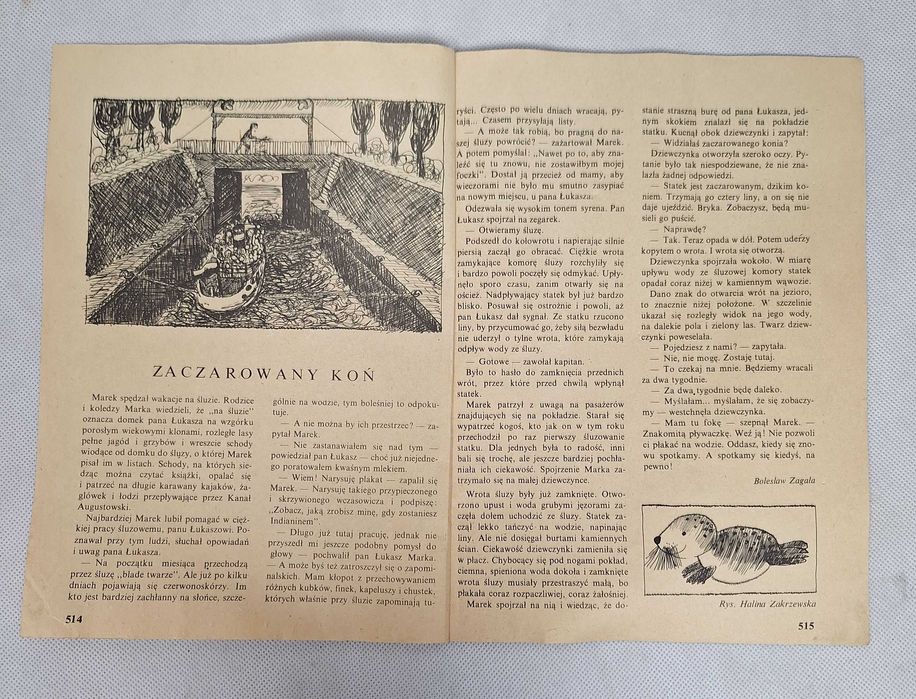 Świerszczyk Tygodnik dla młodszych dzieci Nr 33 (1444) 12 VIII 1973