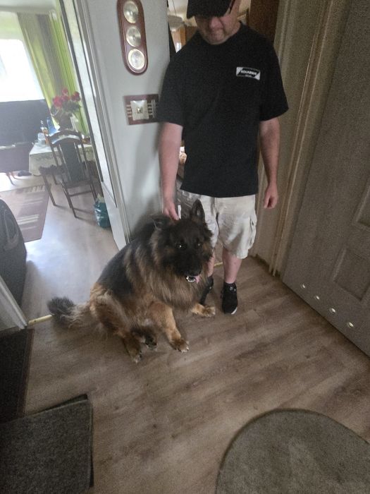 Oddam w dobre rece..