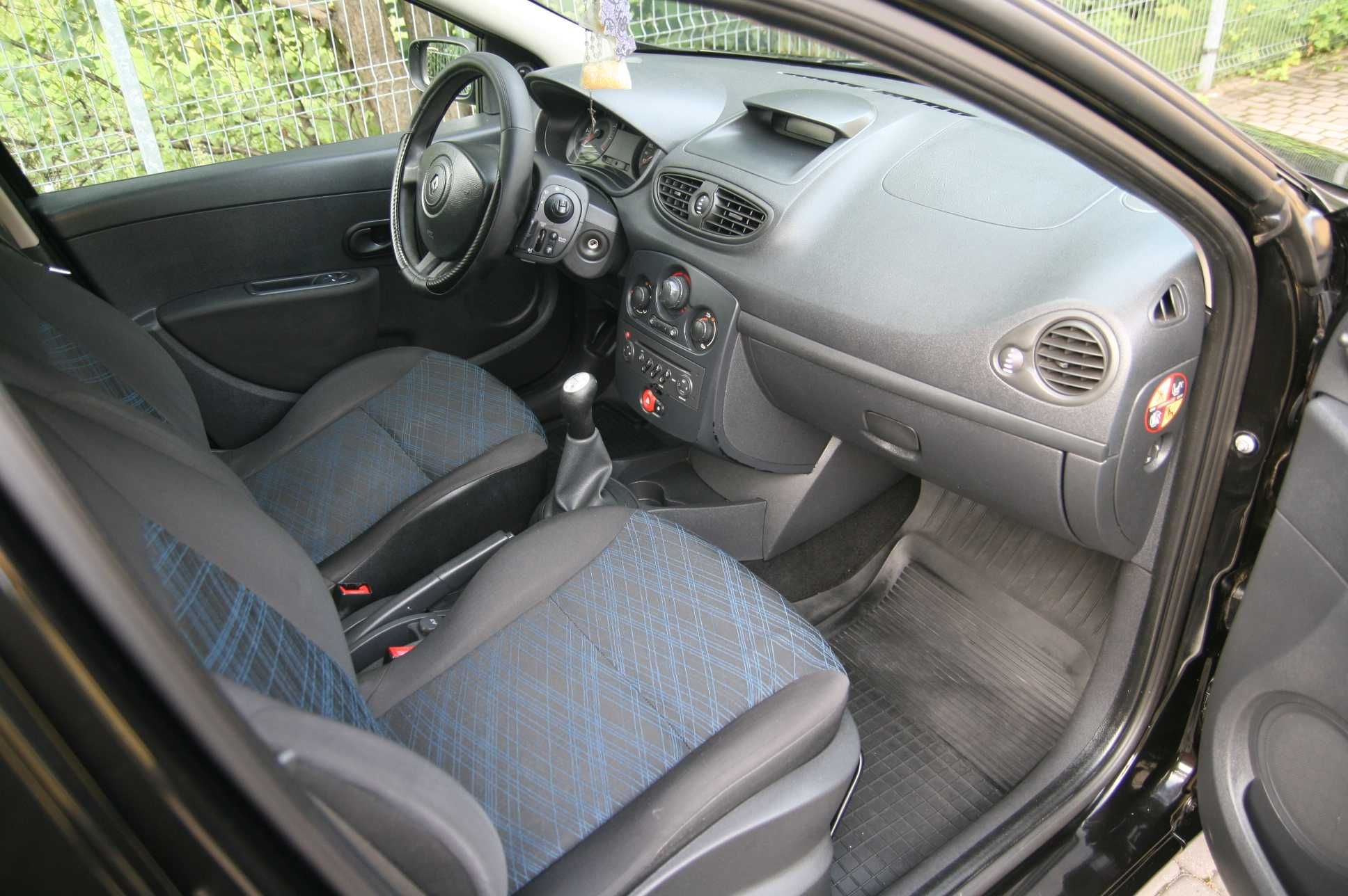 Renault Clio Zadbany