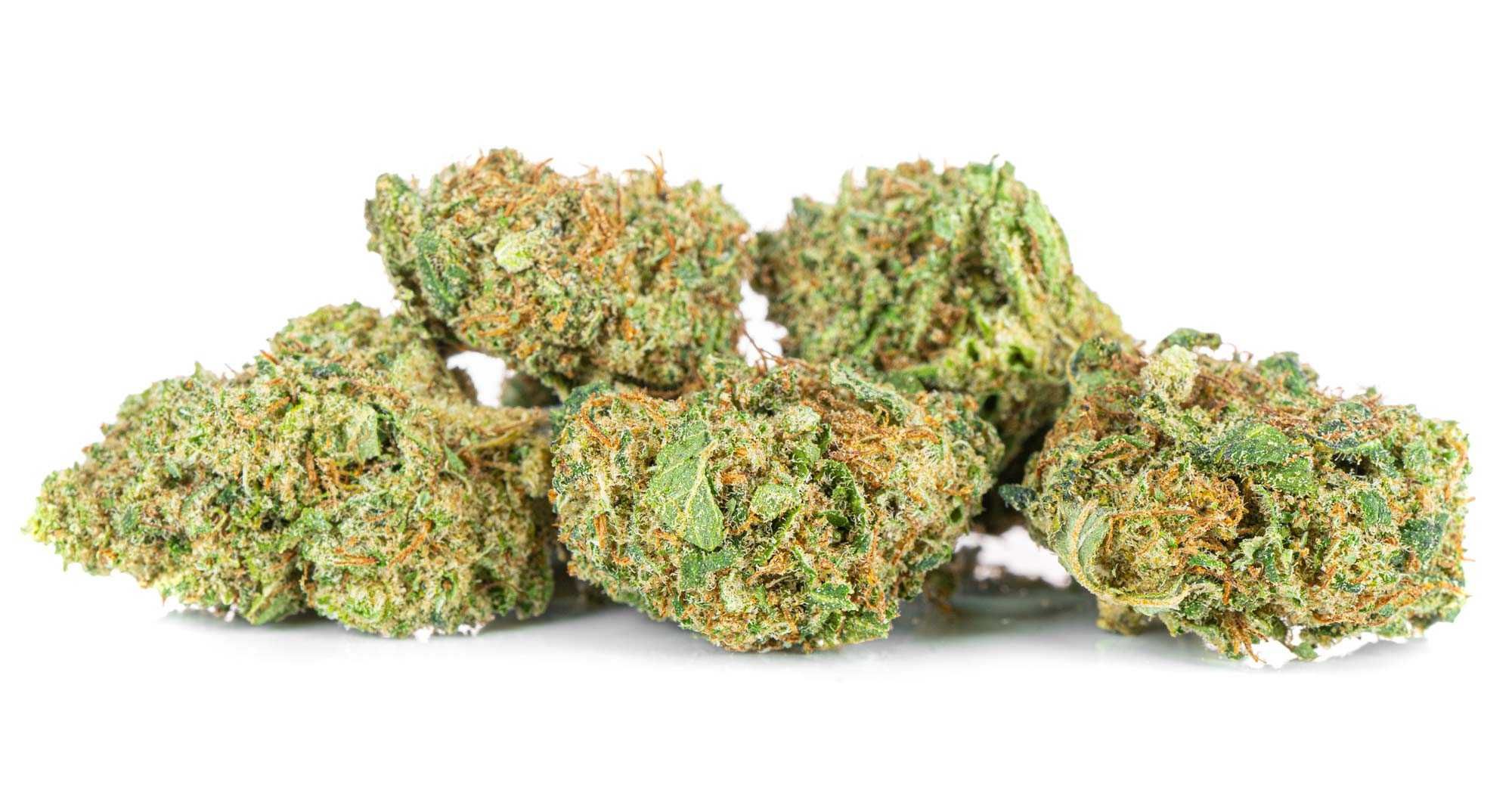 Sklep Mary Jane | Lemon Haze do 30% CBD Legalny Susz Konopny | 5 gram