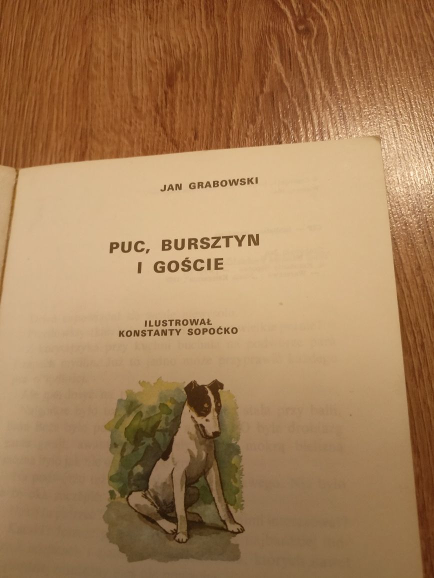 Jan Grabowski Puc Bursztyn i Goście 1988, Nasza Księgarnia