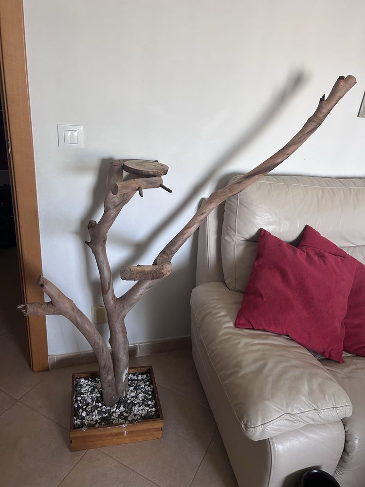 Troncos de madeira decoradores