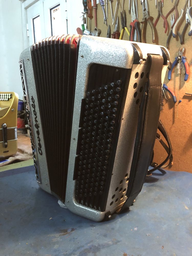 Acordeon Cavagnolo Super Vedeta 10