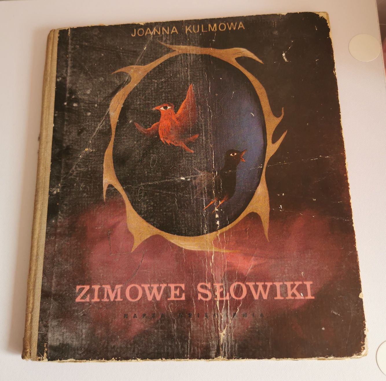 Zimowe Słowiki - Joanna Kulmowa