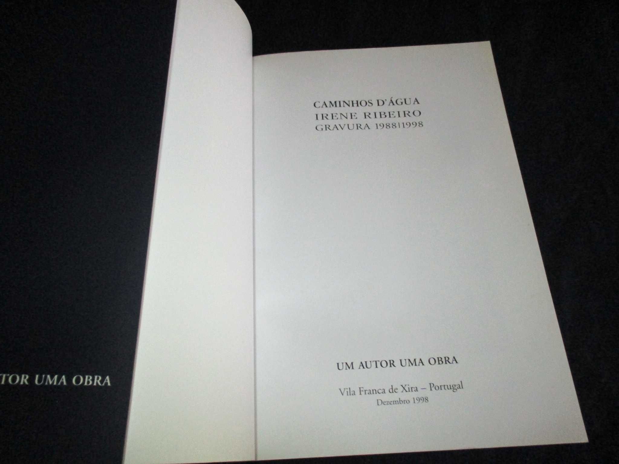 Livro Caminhos D'Água Irene Ribeiro 1998