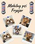Psi Fryzjer Mobilny