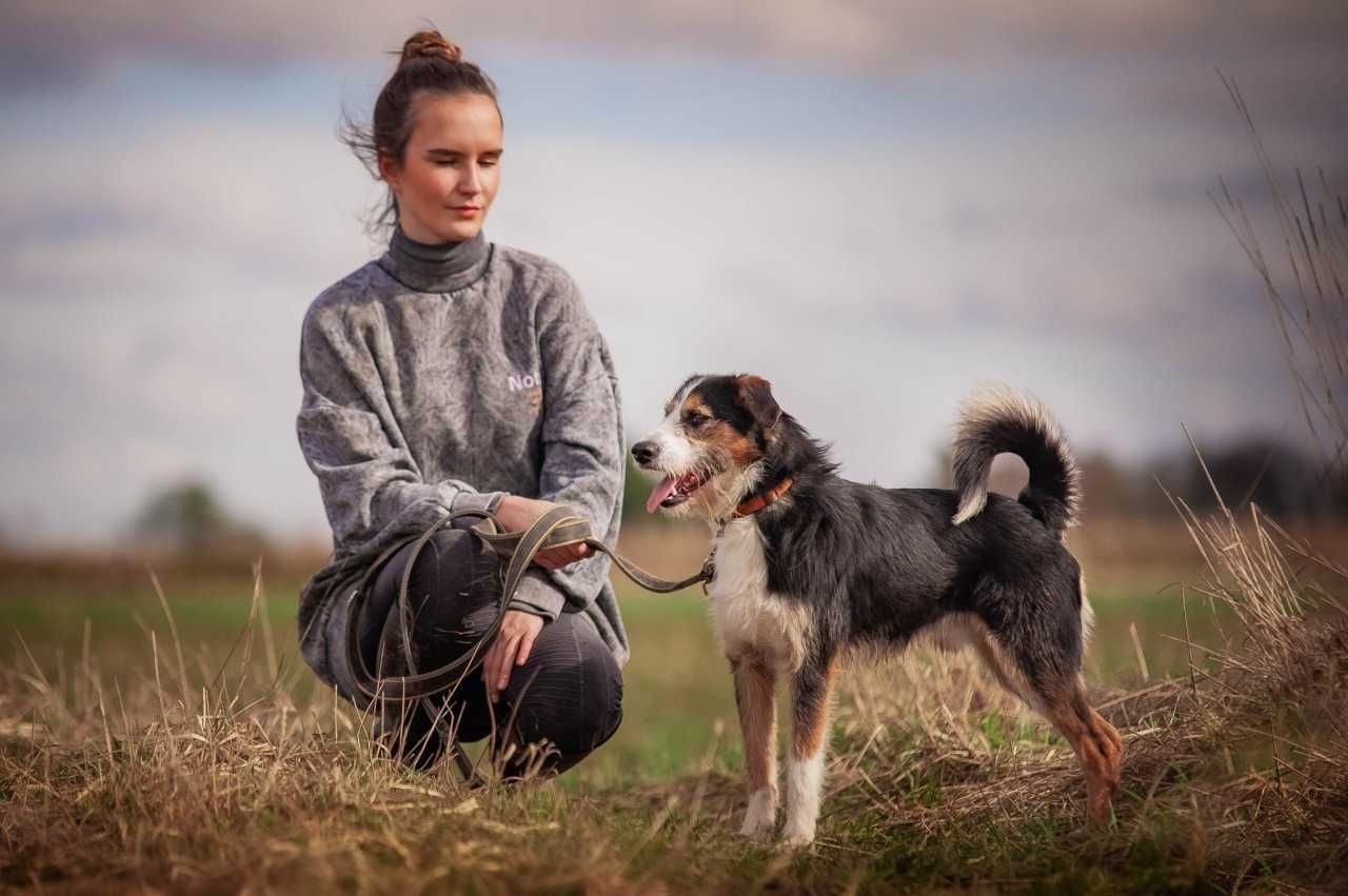 Tyler - spokojny, aktywny i delikatny psiak do adopcji.