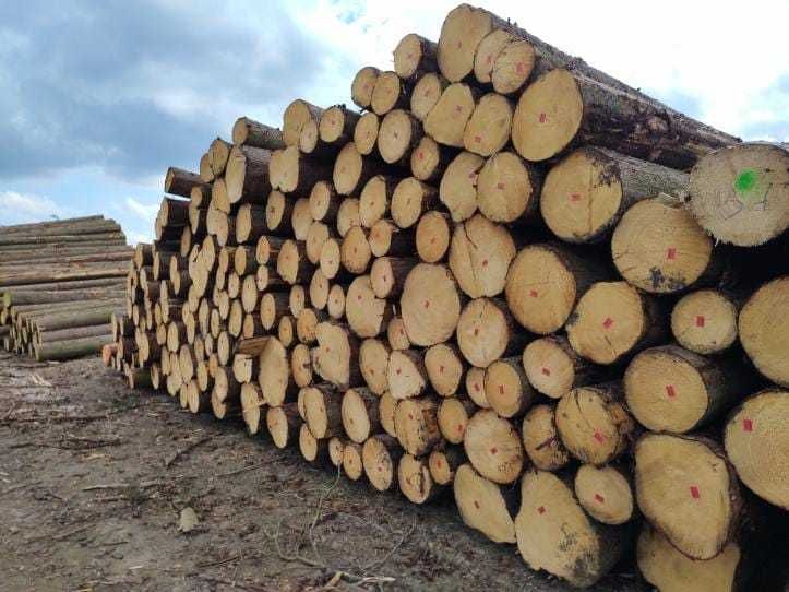 Drewno tartaczne  Sprzedaż drewna Tartacznego oraz paletowego