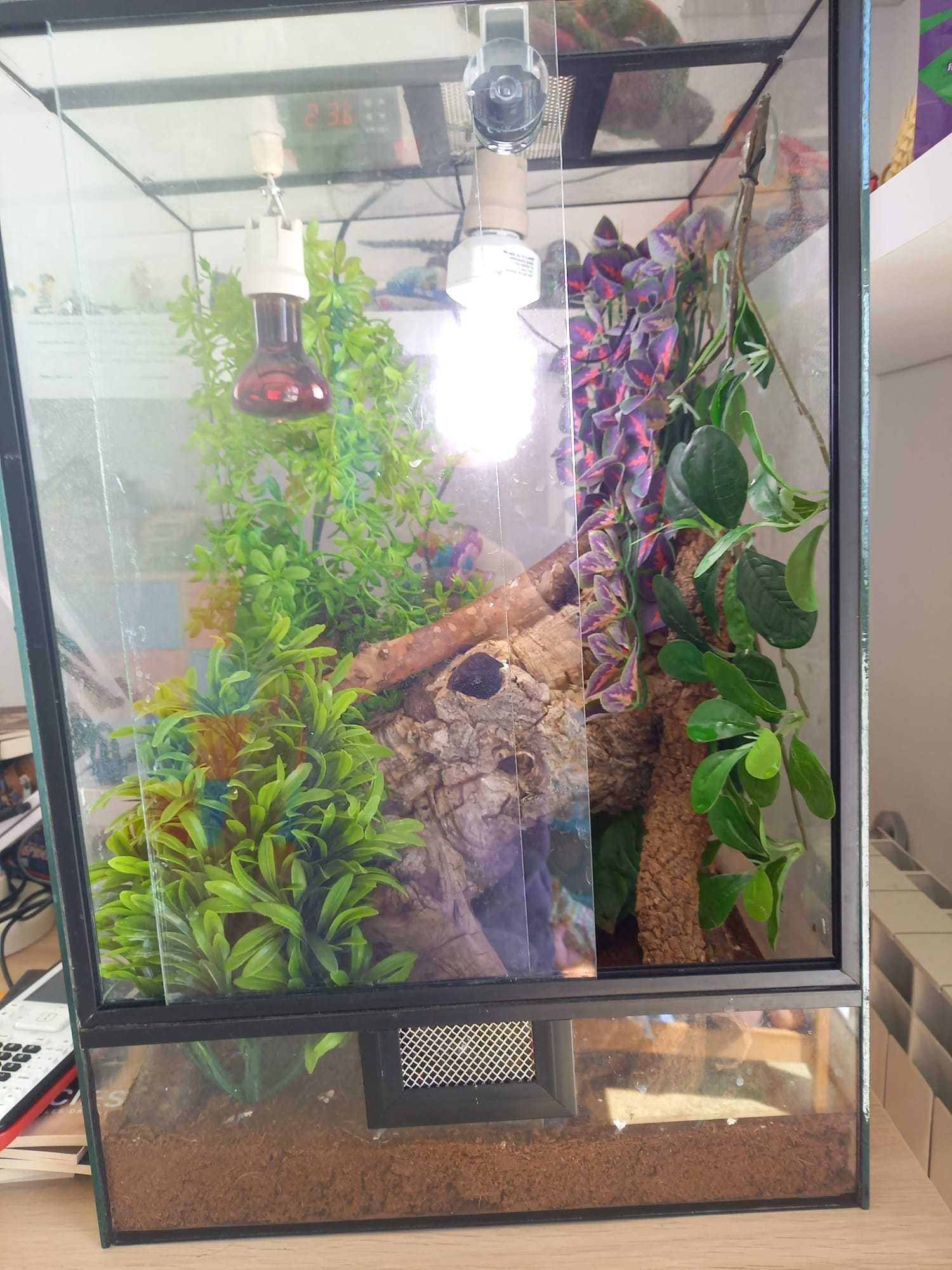 Terrário / Reptilário para Répteis (altura 60cm x 40cm x 35cm)