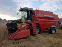 Massey Ferguson  MF 34 1996r . podwójny bęben /36 32