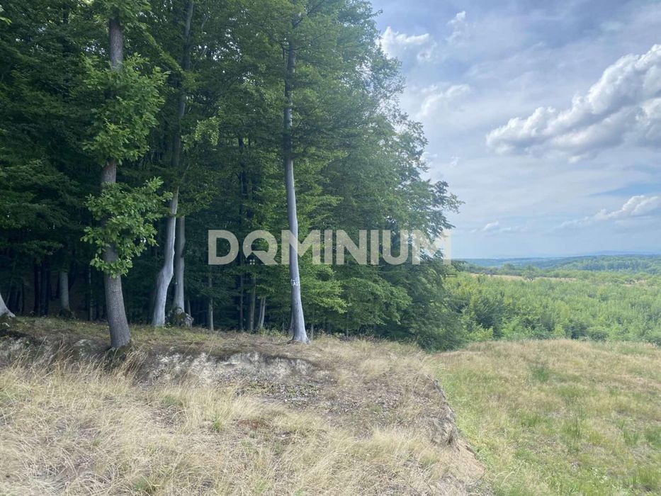 Продається земельна ділянка у с. Мала Копаня